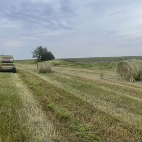 Сено в рулонах с доставкой