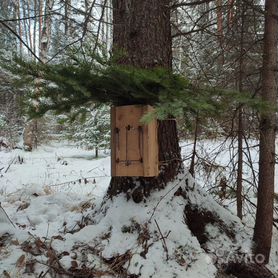 Охота на пушного зверя. (куница, соболь, белка и пр.) | Страница | Форум охотников