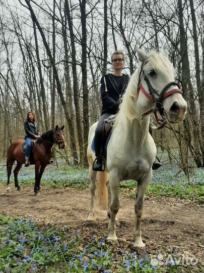 Прогулка на лошадях