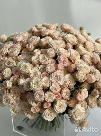 Живые цветы букеты кустовые пионовидные розы