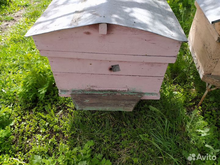Ульи для пчел