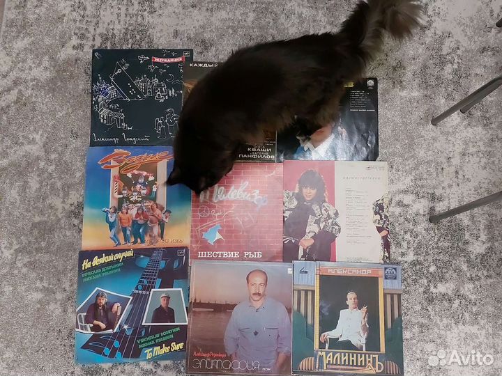 Виниловые пластинки СССР