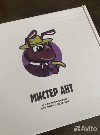 Муравьиная ферма мистер ант