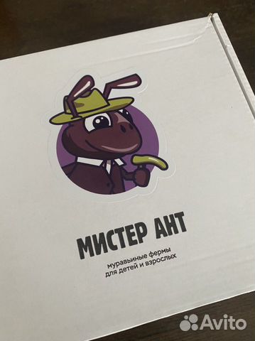 Муравьиная ферма мистер ант