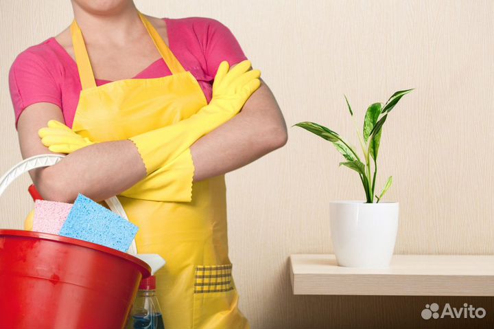 Домработница