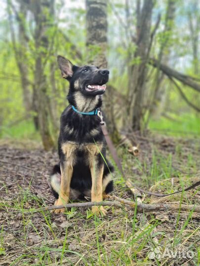 Подрощенные девочки но