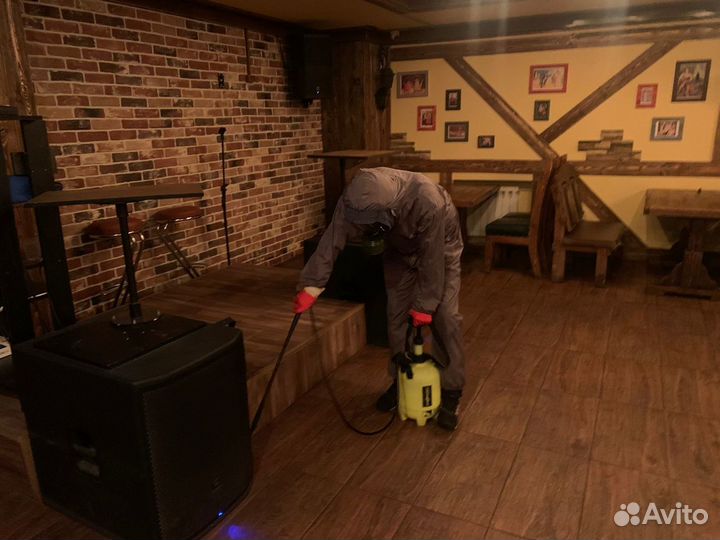 Уничтожение тараканов,клопов,клещей,шершней,ос