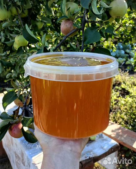 Мед цветочный 2023