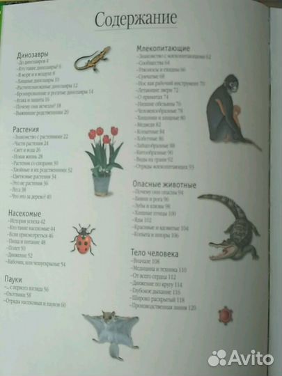 Энциклопедия от Тины Канделаки