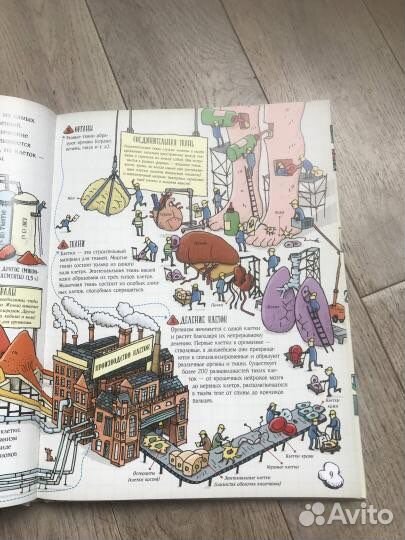 Книга «Большое путешествие по телу человека»