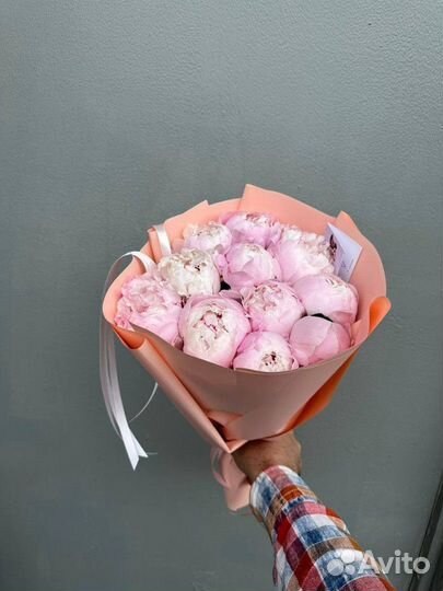 Пионы / Доставка цветов