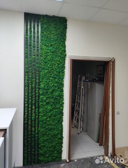 Стабилизированный мох в интерьере