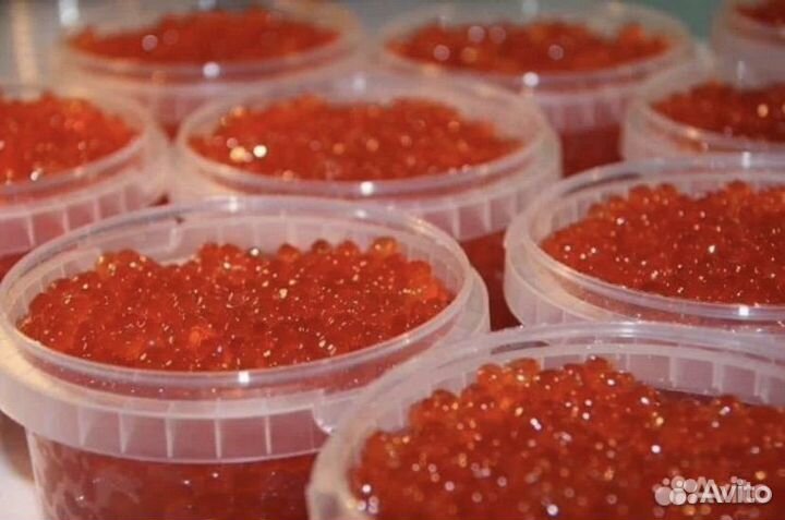Красная икра оптом