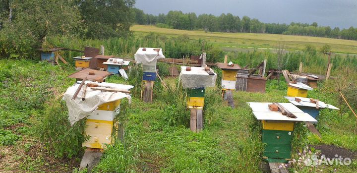 Обучу ремеслу 