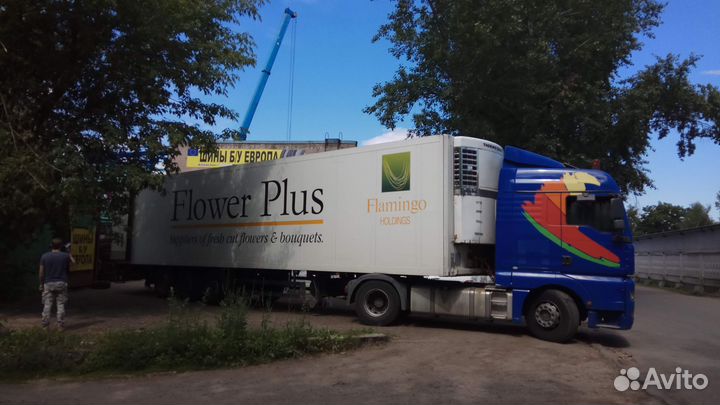 Continental ContiWinterContact TS 850 P 225/40 R18 92V