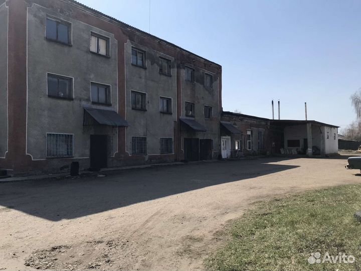 Действующий бизнес: Пекарня, мельница, магазин