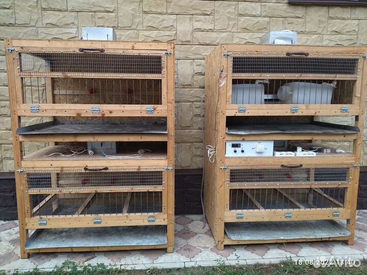 Продажа брудеров для бройлеров, домашней птицы