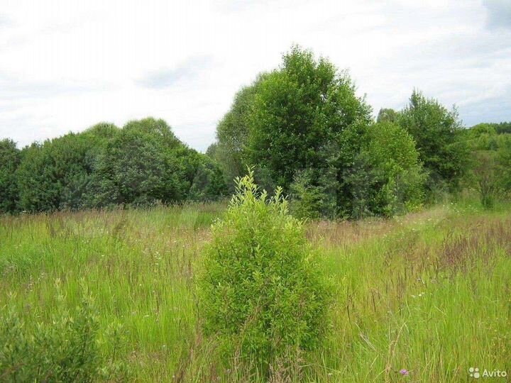 Участок 2,4 га (СНТ, ДНП)