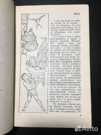 Время счастливых находок, Фазиль Искандер, 1973