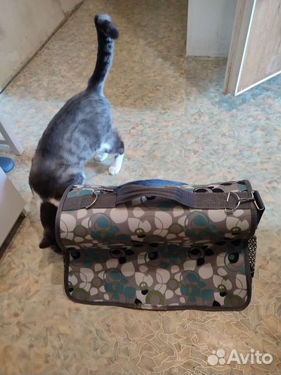 Переноска для животных бу