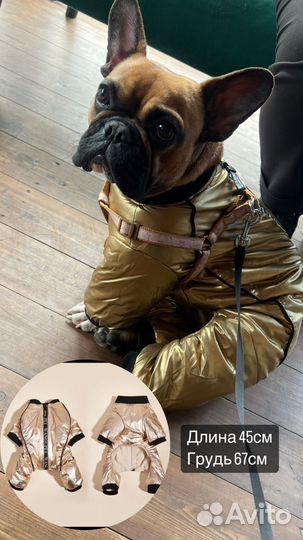 Комбинезон для собак