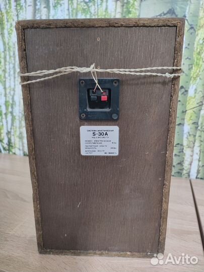 Колонка Radiotehnika S30A