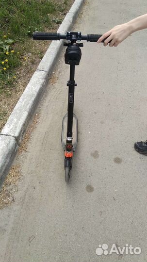 Самокат взрослый scooter urban