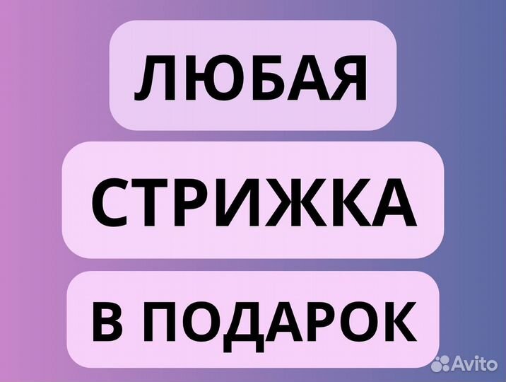 Ботокс волос кератин красноярск