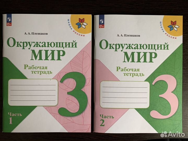 Рабочая тетрадь. Окружающий мир 3 класс