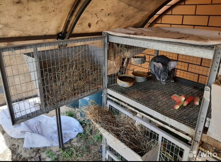Клетки для кроликов бу