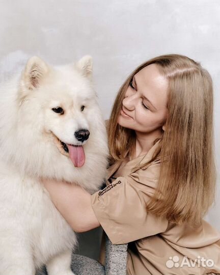 Услуги грумера (собаки и кошки)