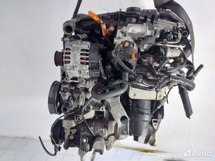 BWE двигатель Audi A4 B7 2006