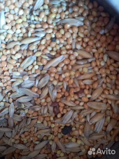 Корм для попугаев