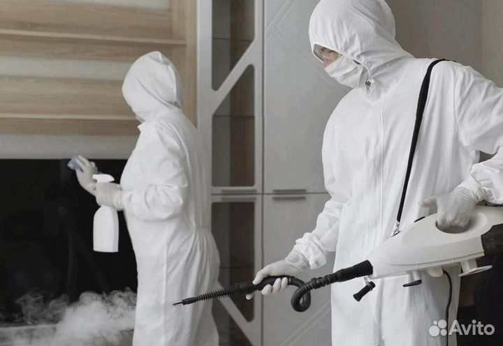 Уничтожение клопов тараканов грызунов