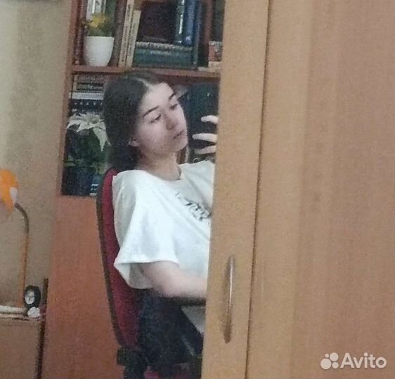 Репетитор по литературе огэ