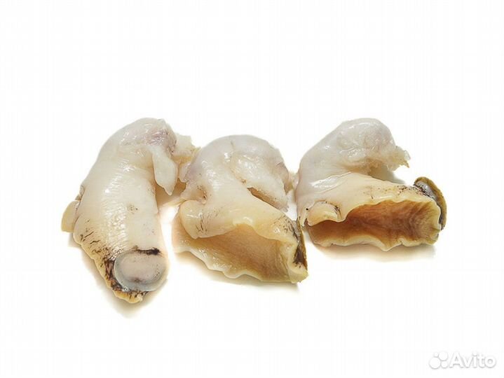 Трубач филе магаданский