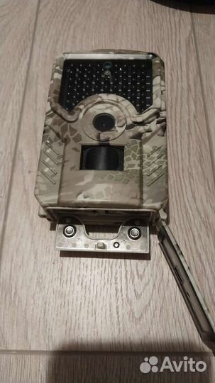 Фотоловушка