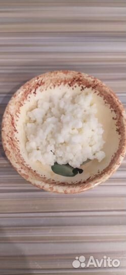 Тибетский молочный гриб