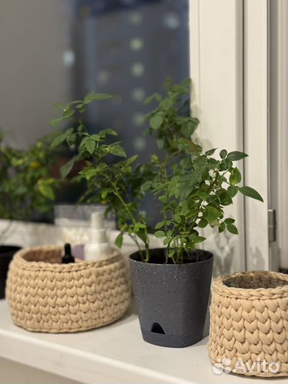 Корзинка из трикотажной пряжи