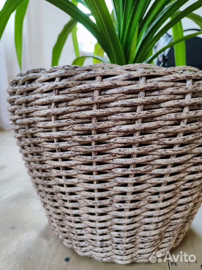 Кашпо из ротанга