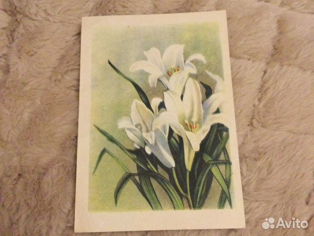 Открытка 1958 года Филателистическая контора Типог