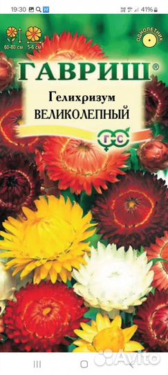 Циния и гелихризум