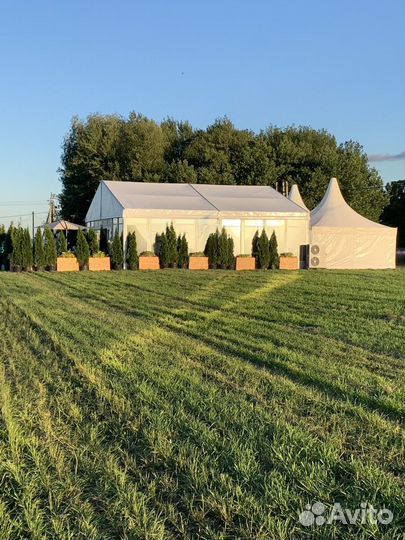 VIP шатер в аренду