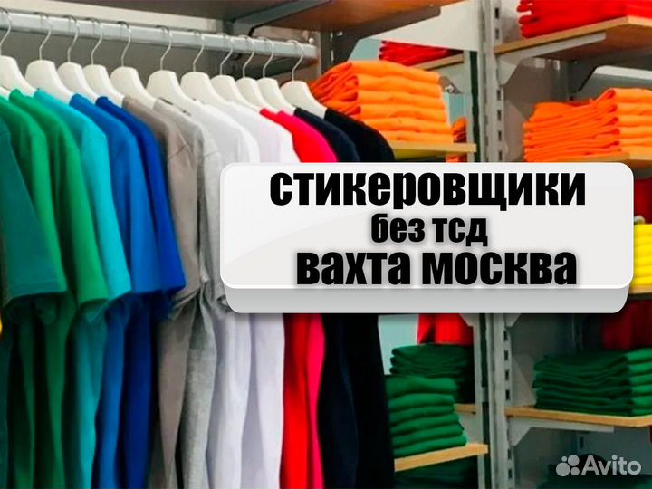 Стикеровщик без тсд вахта Москва