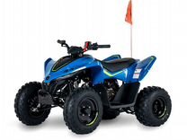 Cfmoto cforce 110