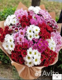 Разноцветные ромашки и другие цветы