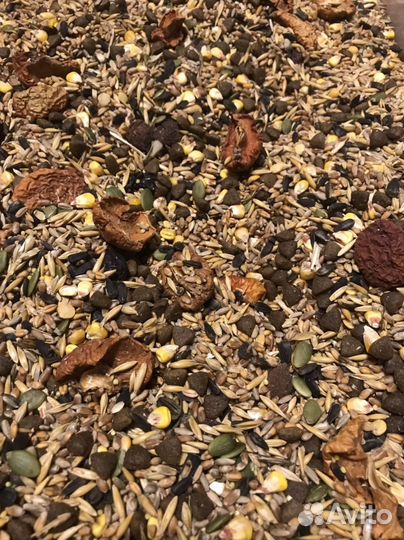 Корм для крыс 