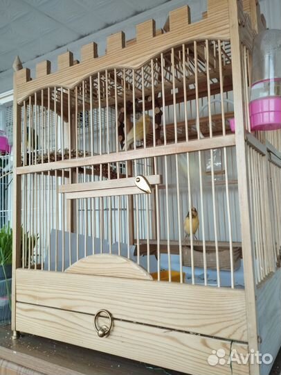 Клетка для птиц деревянная без продажи птиц