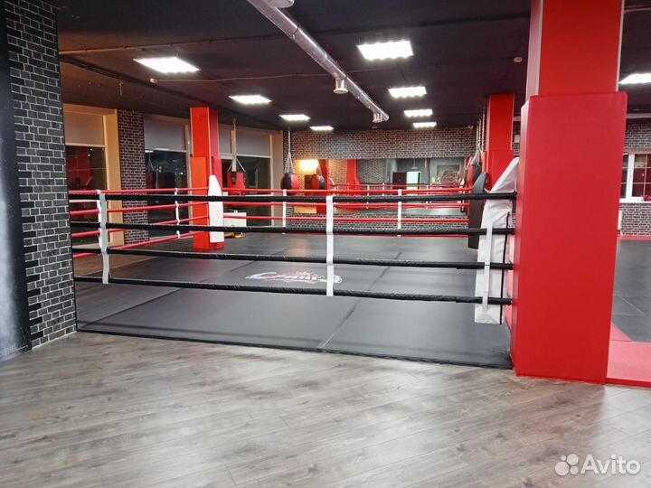 Ринг боксерский Sportpanda на упорах, боевая 4х4м