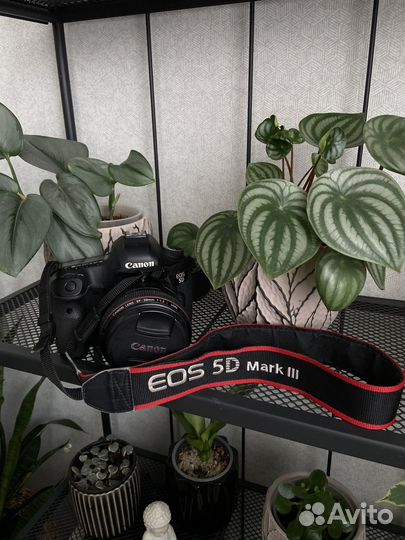 Фотоаппарат canon 5D mark iii